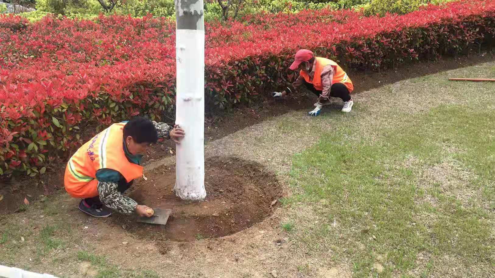 助力“徐马” | 天美公司打响2021徐州马拉松云龙湖珠山景区沿线后勤服务保障战